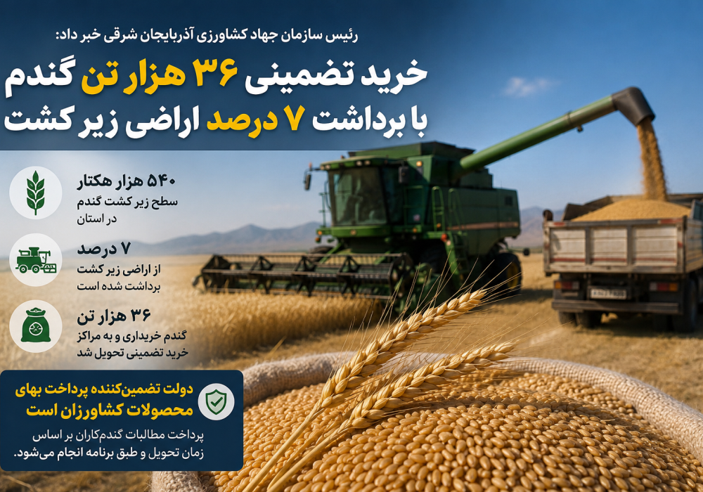 آغاز شتاب‌گیری خرید تضمینی گندم در آذربایجان شرقی؛ ۳۶ هزار تن محصول تحویل مراکز خرید شد