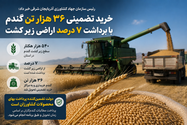 آغاز شتاب‌گیری خرید تضمینی گندم در آذربایجان شرقی؛ ۳۶ هزار تن محصول تحویل مراکز خرید شد