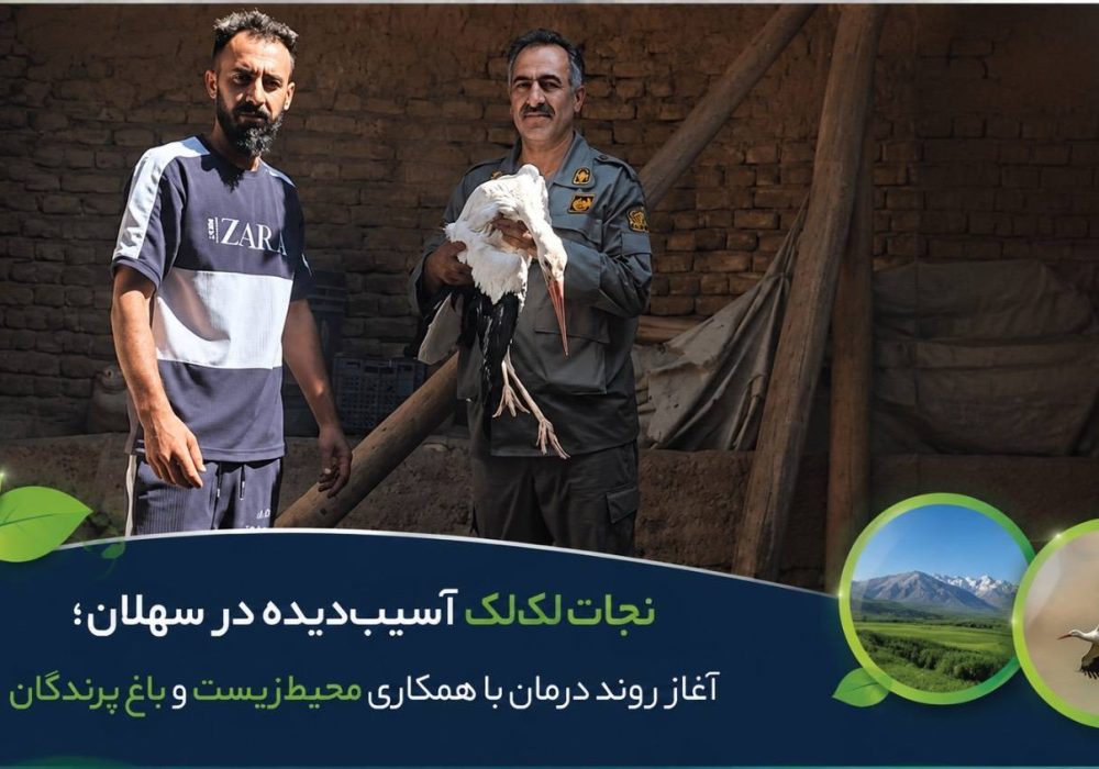 آغاز روند درمان با همکاری محیط‌زیست و باغ پرندگان ‌