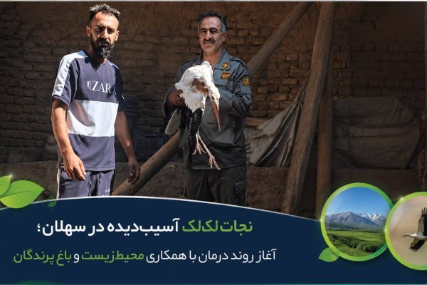 آغاز روند درمان با همکاری محیط‌زیست و باغ پرندگان ‌