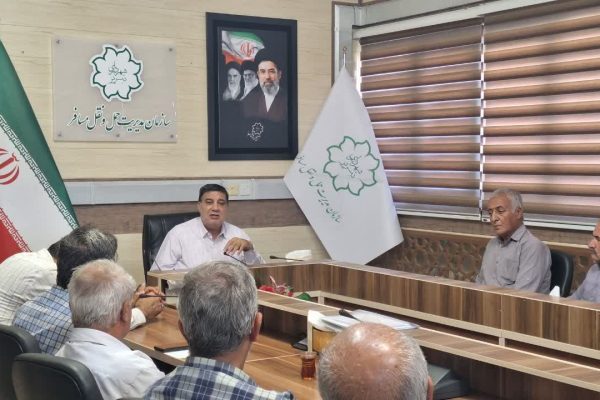 مشارکت تاکسیرانان، شرط اساسی ساماندهی و رفع مشکلات تاکسی‌های بی‌سیم ۱۳۳