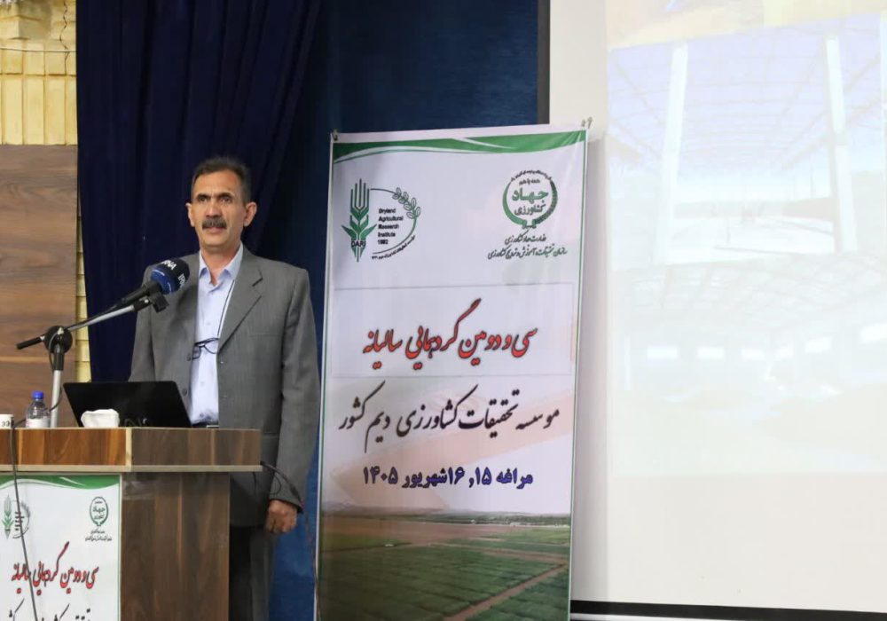 افزایش عملکرد محصولات دیم کشور با وجود کاهش بارندگی