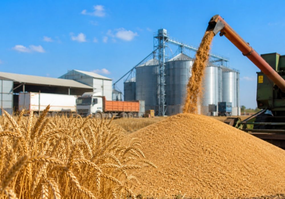کارت اعتباری تنها یک خدمت حمایتی و اختیاری است