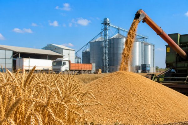 کارت اعتباری تنها یک خدمت حمایتی و اختیاری است