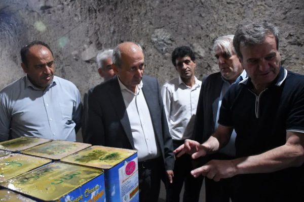با حضور میدانی رئیس سازمان جهاد کشاورزی آذربایجان‌شرقی