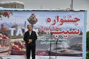 ارزش افزوده سیب میانه با توسعه سورتینگ و بسته‌بندی افزایش می‌یابد