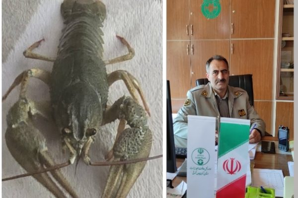 با اقدام سریع یگان حفاظت محیط‌زیست