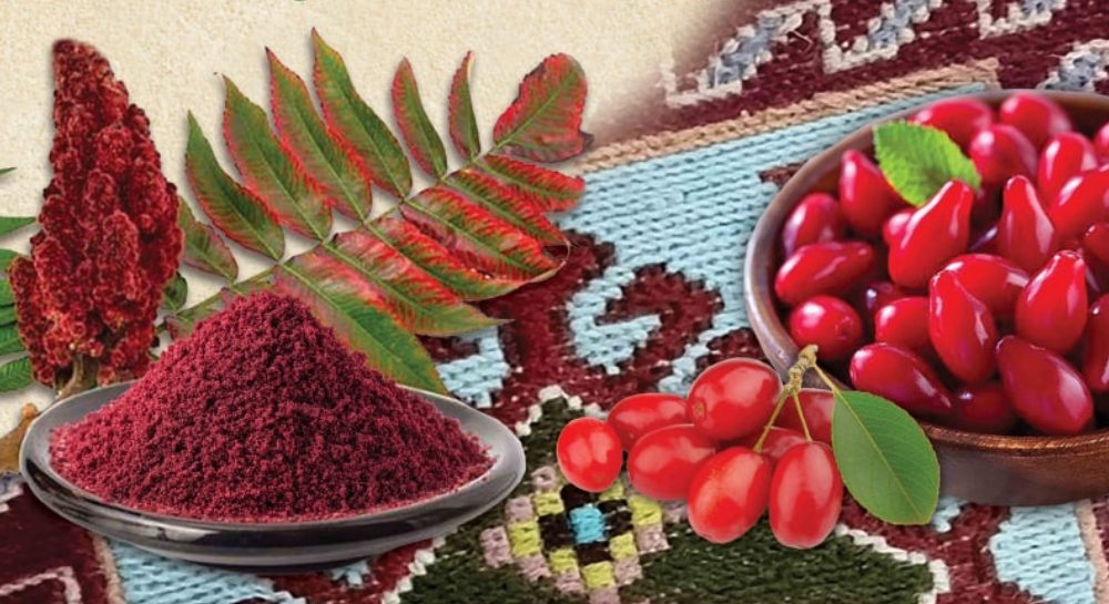 نخستین جشنواره استانی زغال‌اخته و سماق ارسباران