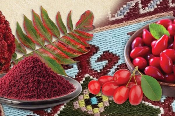 نخستین جشنواره استانی زغال‌اخته و سماق ارسباران