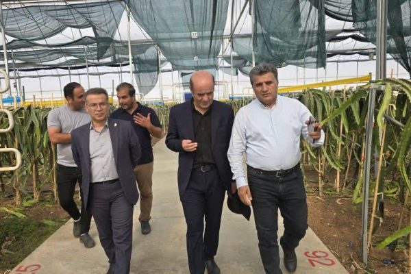 در آخرین روز هفته محیط زیست؛ «گوزل طبیعت جلفا» نماد کشاورزی مبتنی بر دانش و پایداری