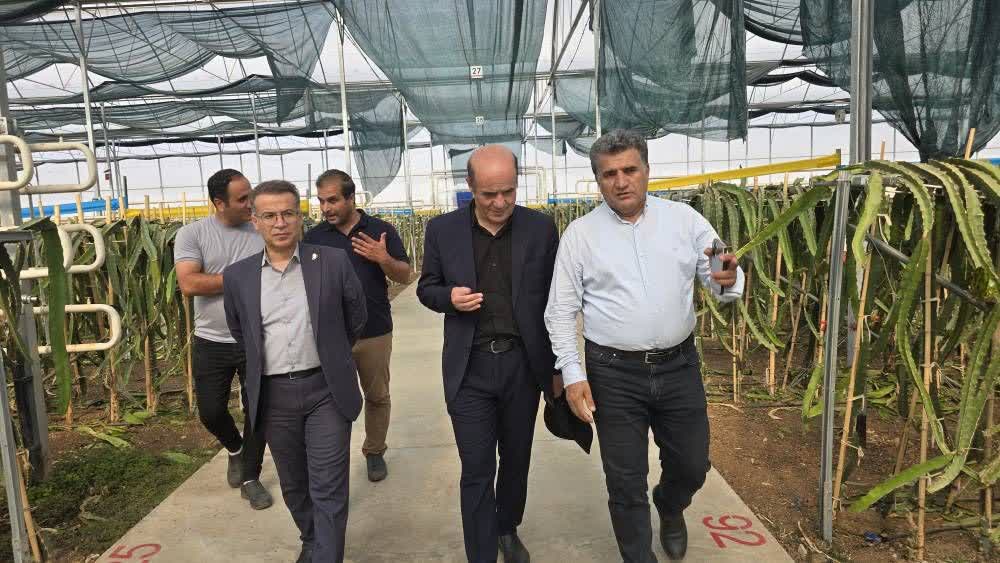 در آخرین روز هفته محیط زیست؛ «گوزل طبیعت جلفا» نماد کشاورزی مبتنی بر دانش و پایداری