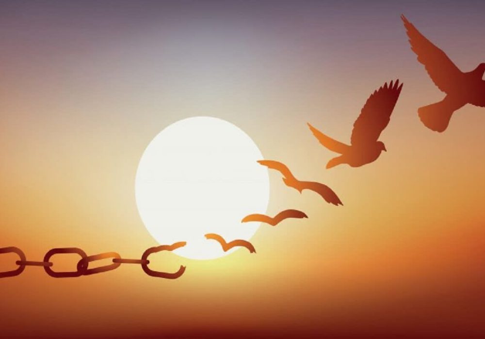 آزادی قاری و حافظ قرآن پس از ۸ سال حبس با کمک ستاد دیه و خیرین