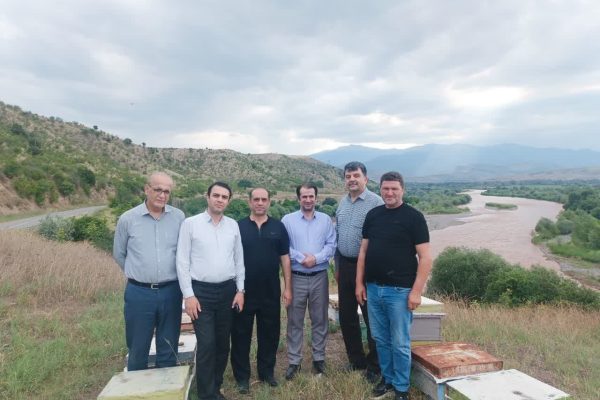در صنعت عسل با پایش هدفمند زنبورستان‌ه
